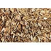 Organic sunflower seed. Food background.