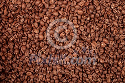 Background from fresh roasted coffee beans Background from fresh roasted coffee beans