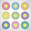 vector flower set retro design 