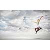 Young pretty ballerina girl making jump in dance