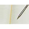 Close up of blank opened notepad and pen