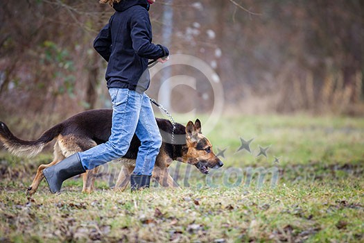 Master and her obedient (German shepherd) dog Master and her obedient (German shepherd) dog