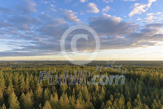 Northern forest landscape in fall colors Northern forest landscape in fall colors