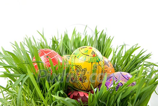 color easter eggs in nest from green grass on white