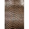 brown crocodile texture