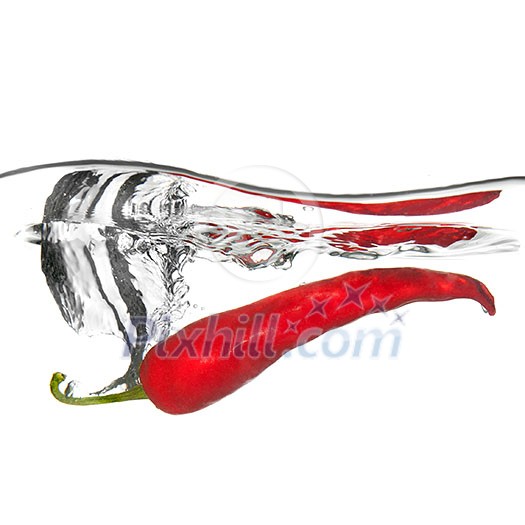 red pepper dropped into water with splash isolated on white red pepper dropped into water with splash isolated on white