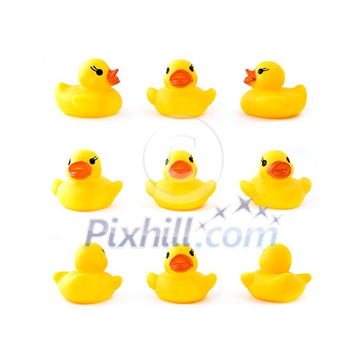 rubber yellow duck isolated on white rubber yellow duck isolated on white