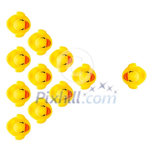rubber yellow ducks isolated on white rubber yellow ducks isolated on white