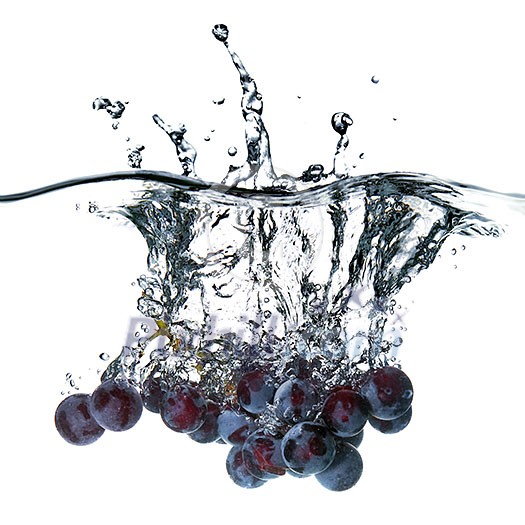 blue grape dropped into water with splash isolated on white blue grape dropped into water with splash isolated on white