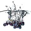 blue grape dropped into water with splash isolated on white