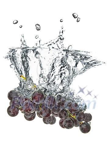 blue grape dropped into water with splash isolated on white blue grape dropped into water with splash isolated on white