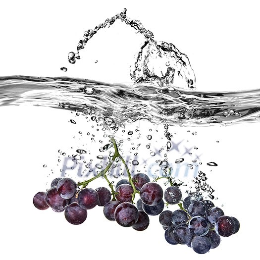 blue grape dropped into water with splash isolated on white blue grape dropped into water with splash isolated on white
