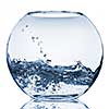 water splash in glass aquarium isolated on white