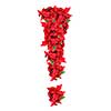 christmas flower