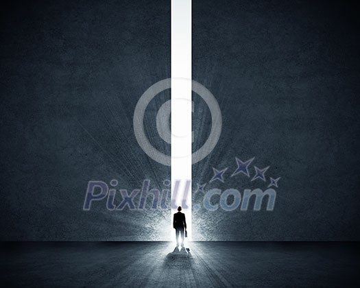 Silhouette of businessman standing in air gap Silhouette of businessman standing in air gap