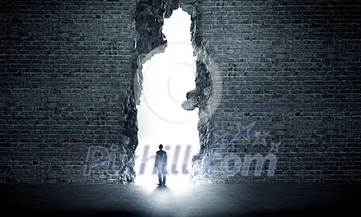 Silhouette of businessman standing in air gap Silhouette of businessman standing in air gap