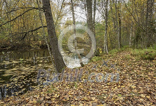 Colorful river scenery in september Colorful river scenery in september