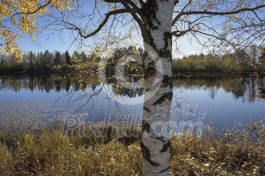 Calm lake scenery in autumn colors