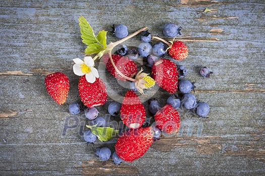 Fresh small wild strawberries and blueberries on old blue wooden background Fresh small wild strawberries and blueberries on old blue wooden background