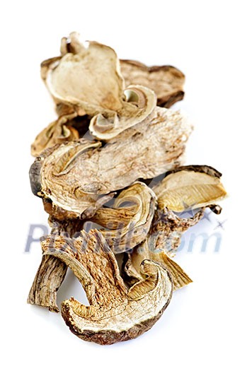 Dried sliced porcini mushrooms isolated on white background Dried sliced porcini mushrooms isolated on white background