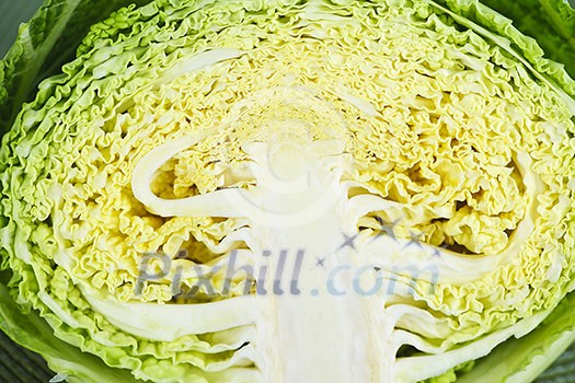 Close up of half sliced green cabbage head