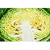 Close up of half sliced green cabbage head