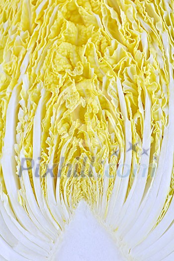 Close up of half sliced chinese cabbage head Close up of half sliced chinese cabbage head