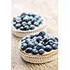 Closeup of fancy gourmet fresh blueberry dessert tarts