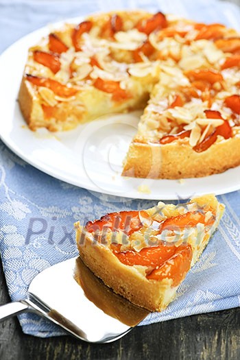 Slice of fresh baked apricot and almond pie dessert Slice of fresh baked apricot and almond pie dessert