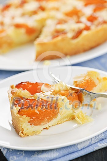 Slice of fresh baked apricot and almond pie dessert Slice of fresh baked apricot and almond pie dessert