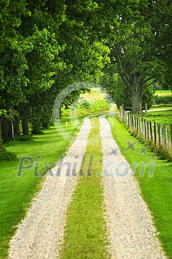 Rural road on small scale sustainable farm with trees and fence Rural road on small scale sustainable farm with trees and fence