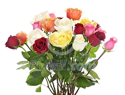 Bouquet of assorted multicolored roses isolated on white background Bouquet of assorted multicolored roses isolated on white background