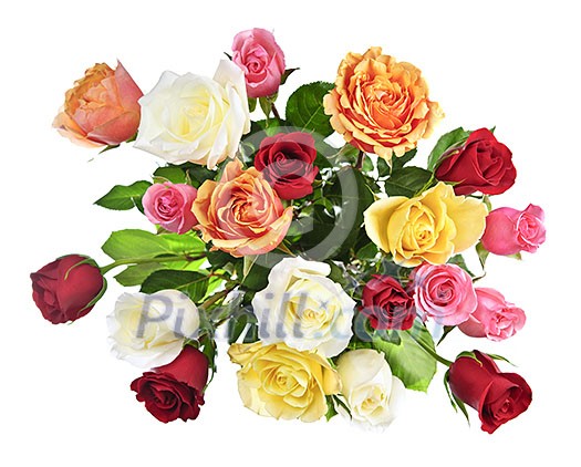 Bouquet of assorted multicolored roses from above isolated on white background Bouquet of assorted multicolored roses from above isolated on white background