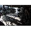 Bike rental service