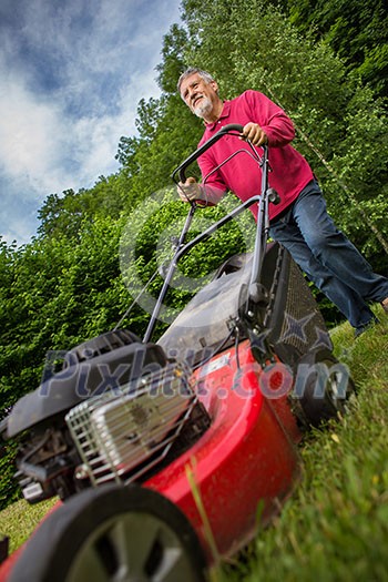Senior man mowing the lawn in his garden Senior man mowing the lawn in his garden