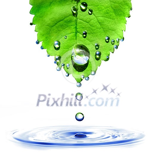 green leaf with water drops and splash isolated on white