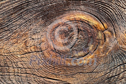 wood texture wood texture