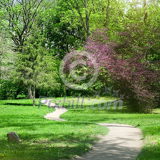 green park in spring