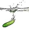 green cucumber dropped into water isolated on white