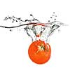 red tomato dropped into water isolated on white