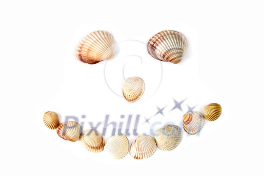 smile from various color shells isolated on white smile from various color shells isolated on white