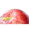 red apple with water drops isolated on white