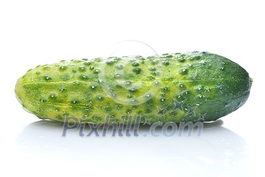 green cucumber with water drops isolated on white