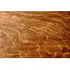 old brown wooden texture. Wooden background
