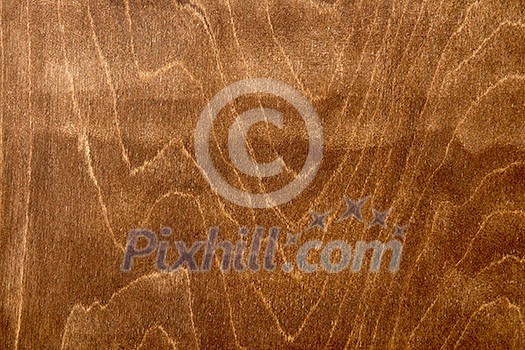 texture of bark wood use as natural background texture of bark wood use as natural background