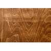 texture of bark wood use as natural background