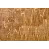 old brown wooden texture. Wooden background