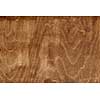 grunge wooden texture used as background.