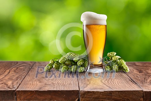 Still life with a keg of beer and hops on a Empty wooden table against green natural background