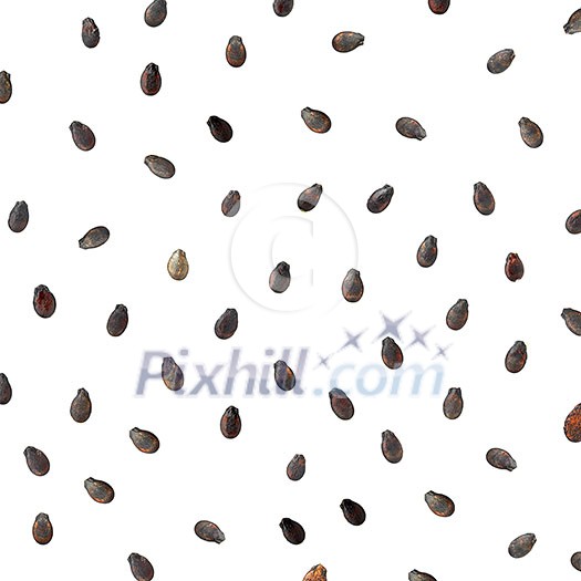 Multiple watermelon seeds, composition isolated over the white background, top view Multiple watermelon seeds, composition isolated over the white background, top view